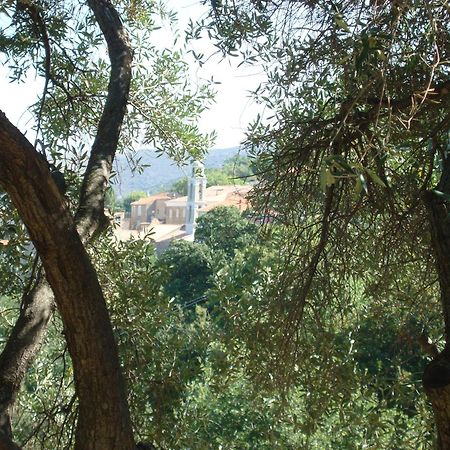 Villa Costa Di Sognu Extérieur photo