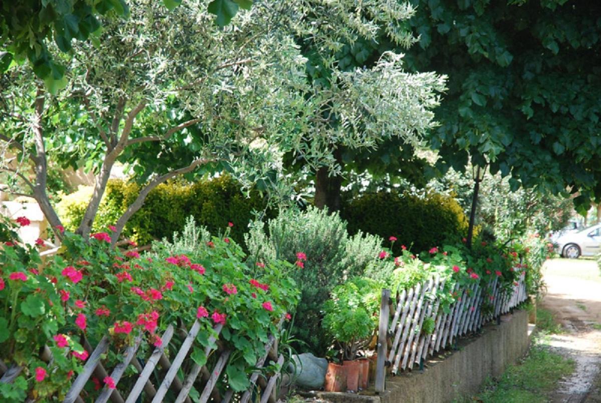 Villa Costa Di Sognu Extérieur photo