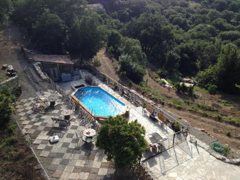 Villa Costa Di Sognu Extérieur photo