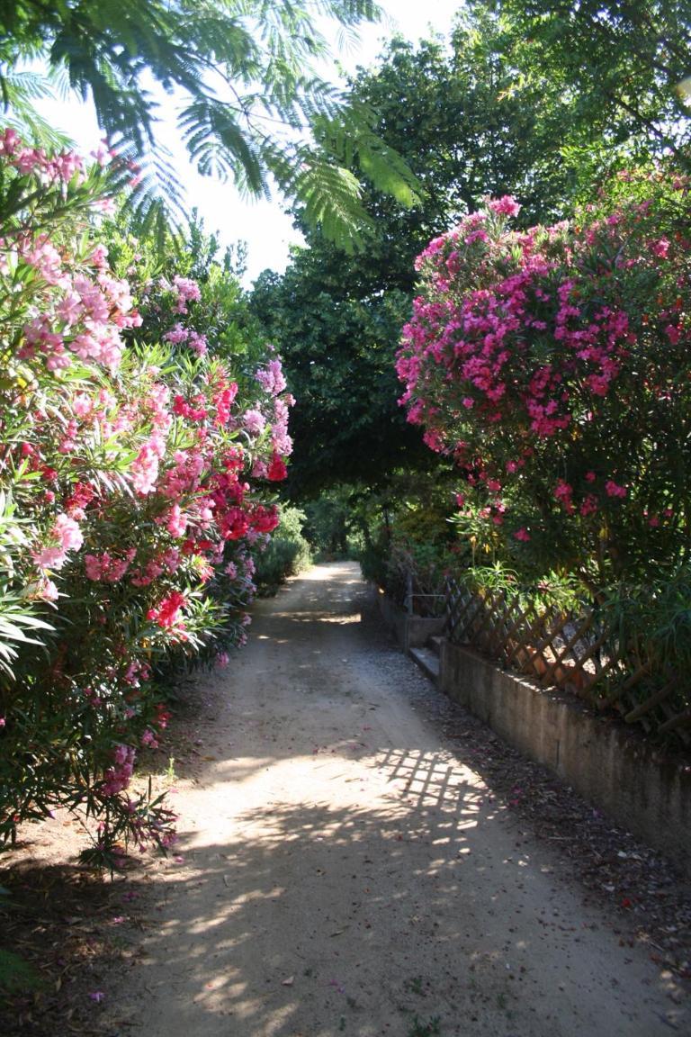 Villa Costa Di Sognu Extérieur photo