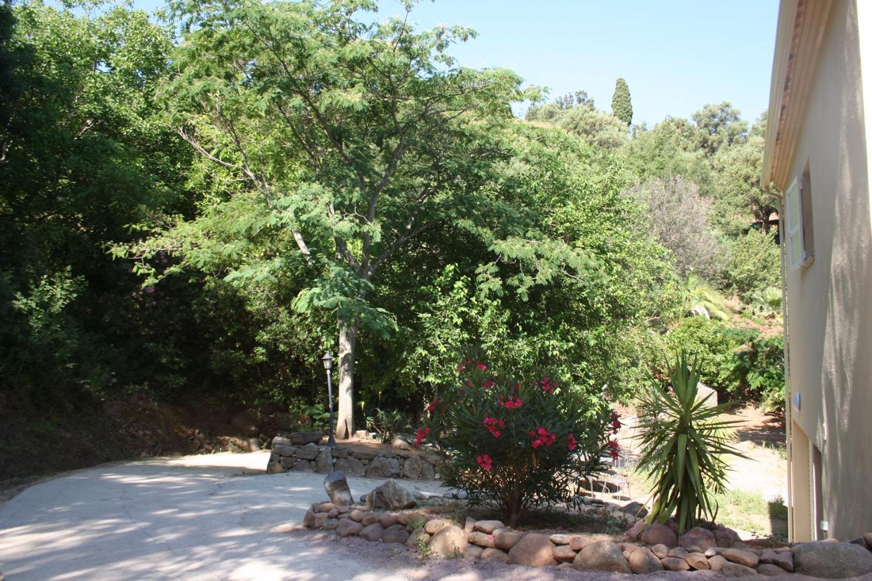 Villa Costa Di Sognu Extérieur photo