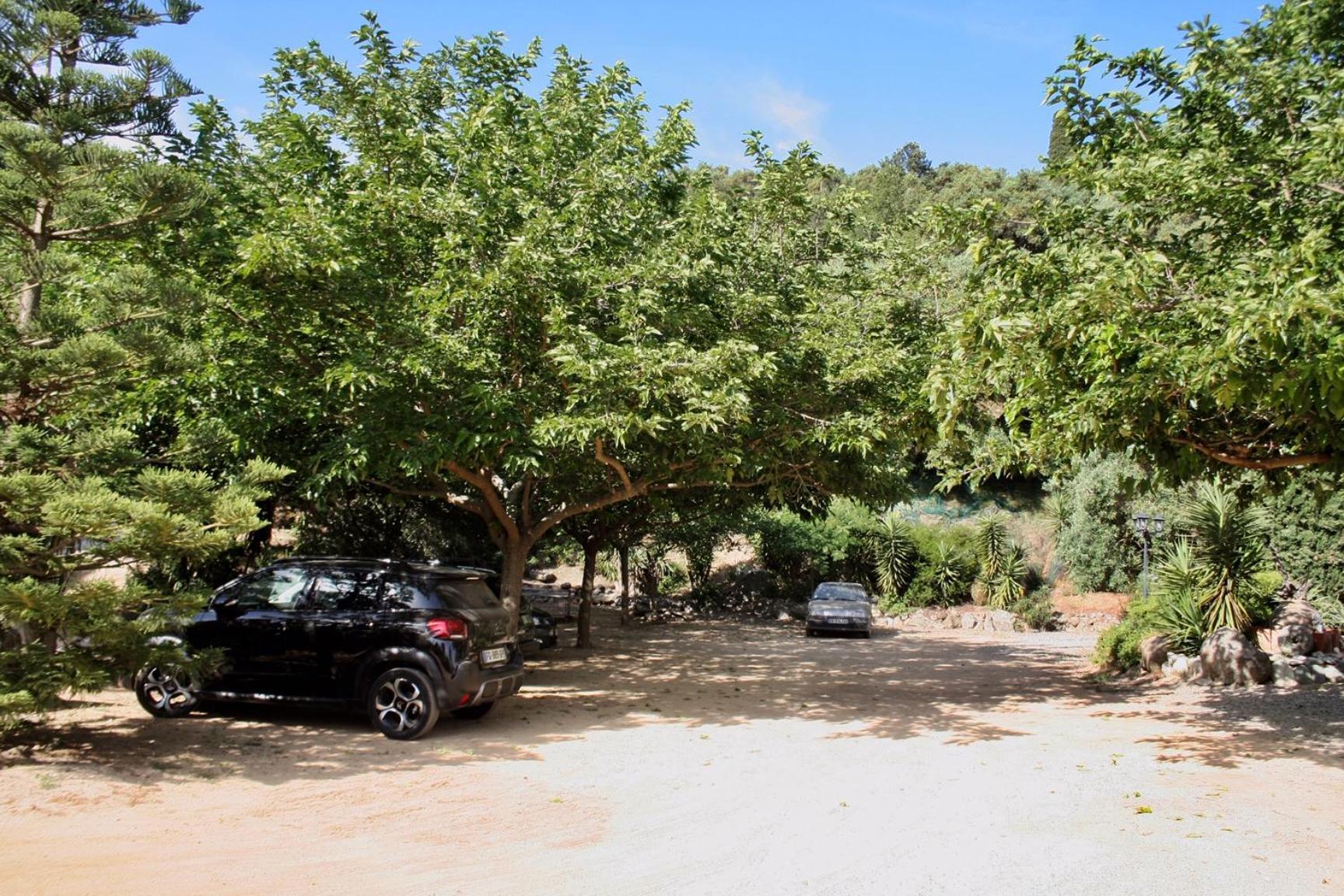 Villa Costa Di Sognu Extérieur photo