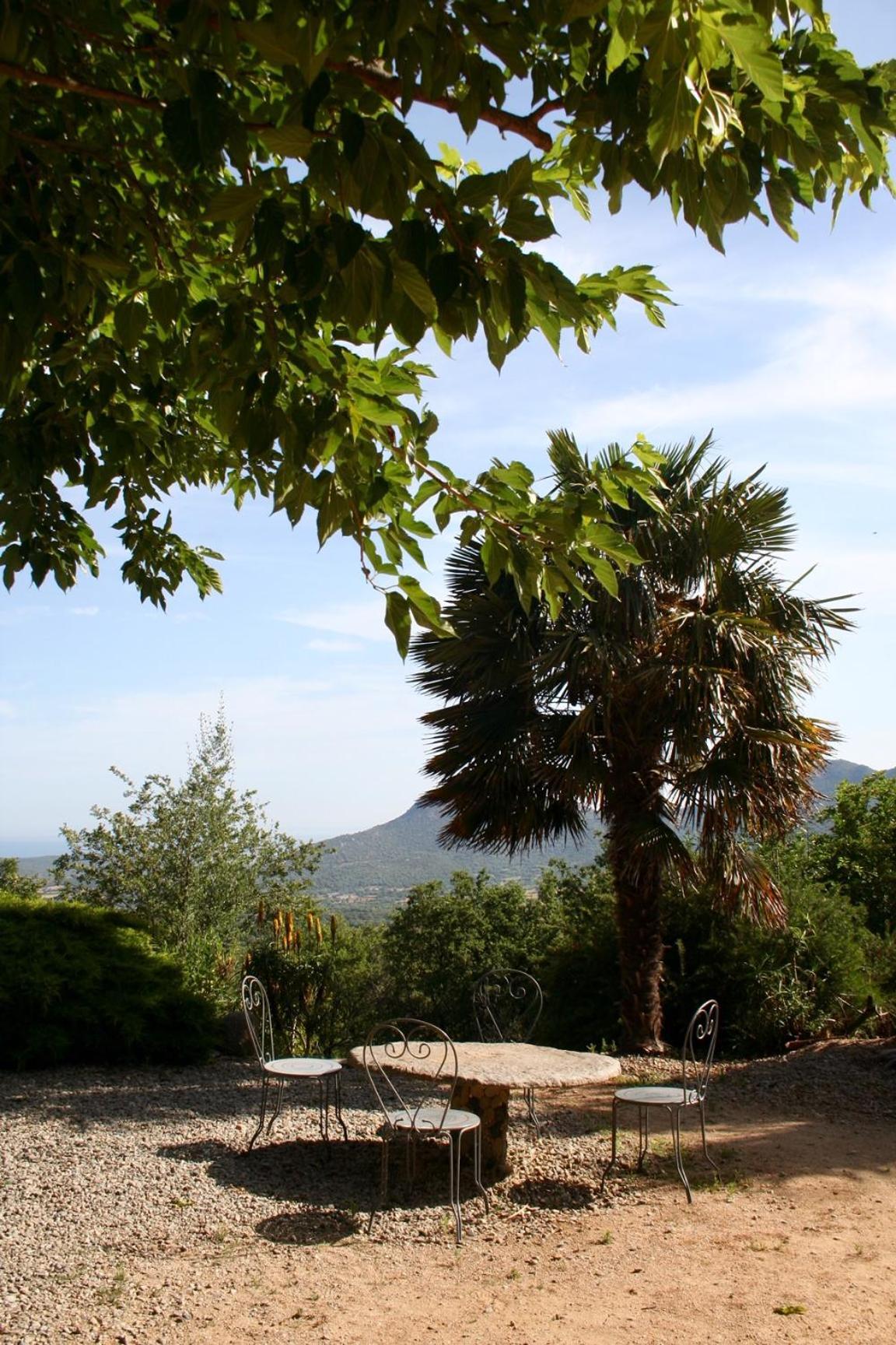 Villa Costa Di Sognu Extérieur photo