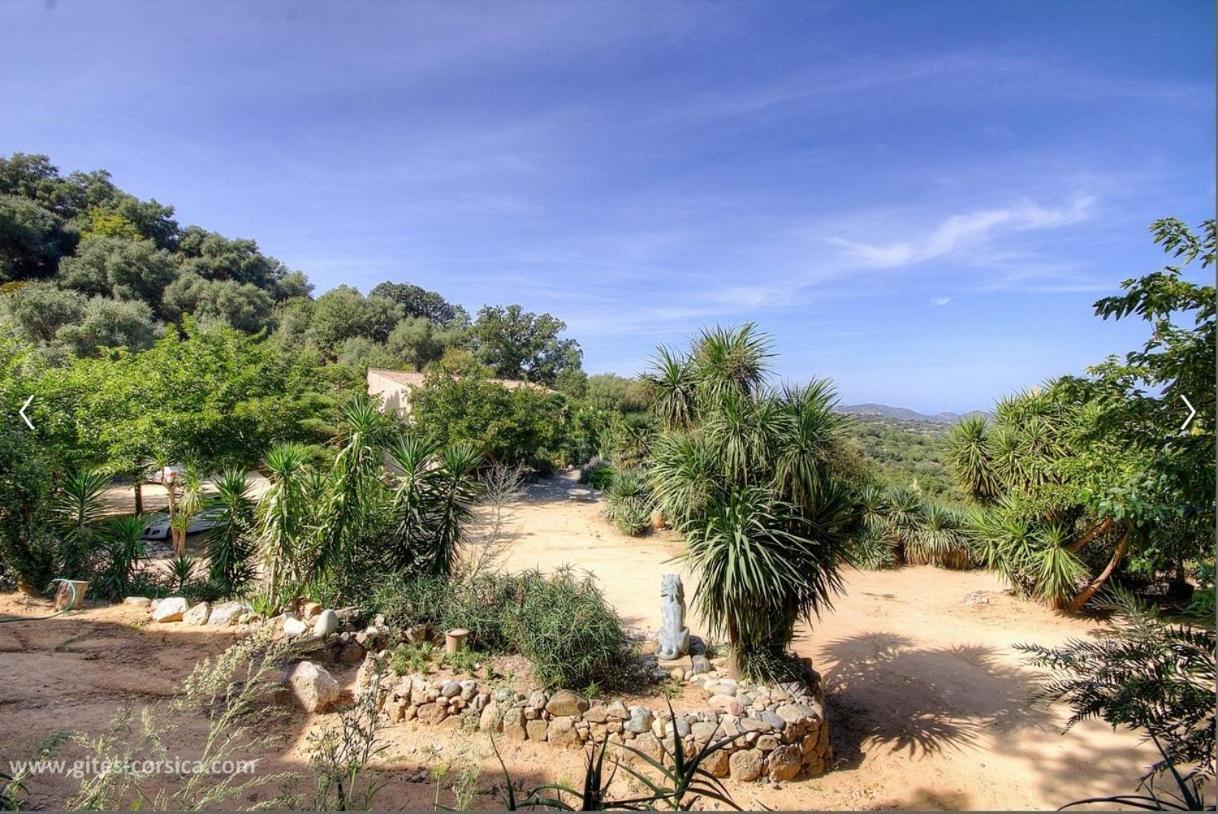 Villa Costa Di Sognu Extérieur photo