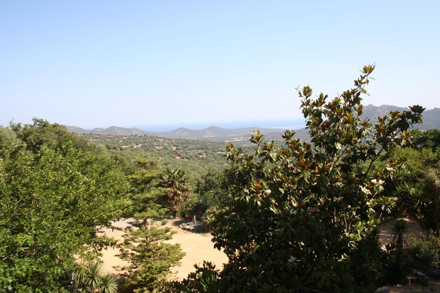 Villa Costa Di Sognu Extérieur photo